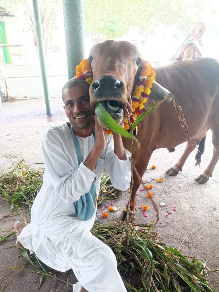 Go Seva - Cow Care